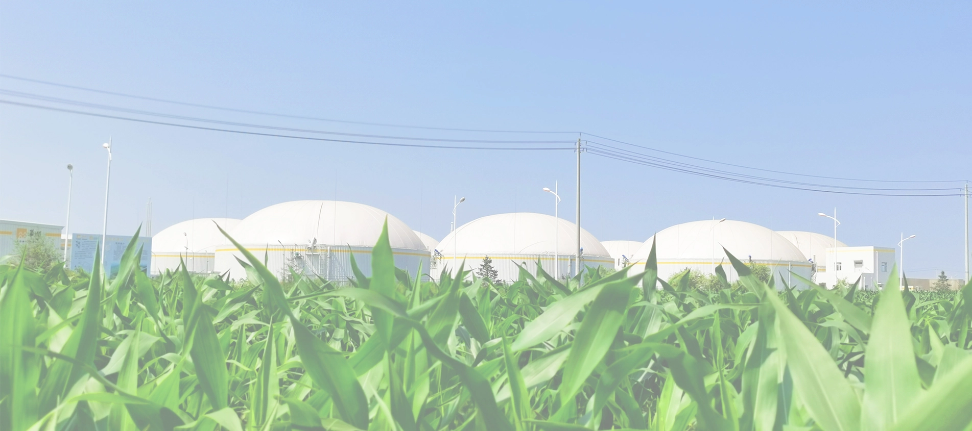 Penggunaan pemegang Biogas