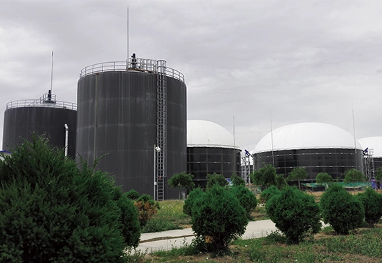Bagaimana untuk memilih pemegang Biogas membran berganda?